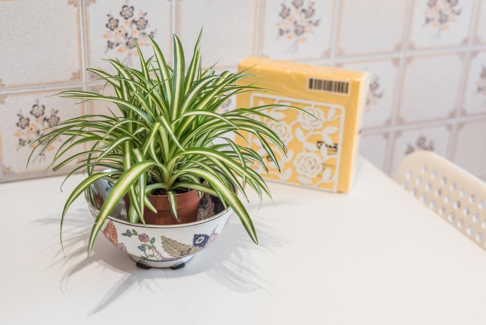 Guestready - Eclectic Haven In The Heart Of Porto Apartment Ngoại thất bức ảnh